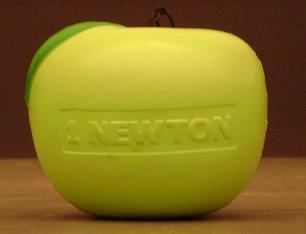 Foam Apple Weighing One Newton