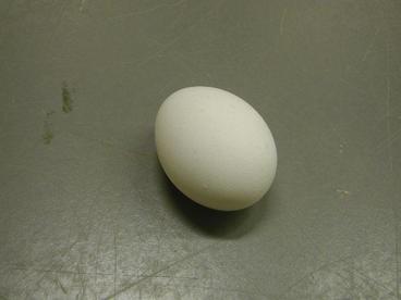 Egg in sheet